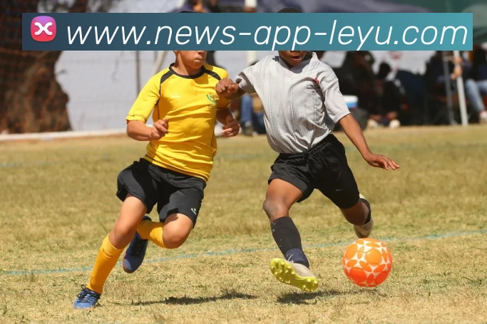 App Interface Preview